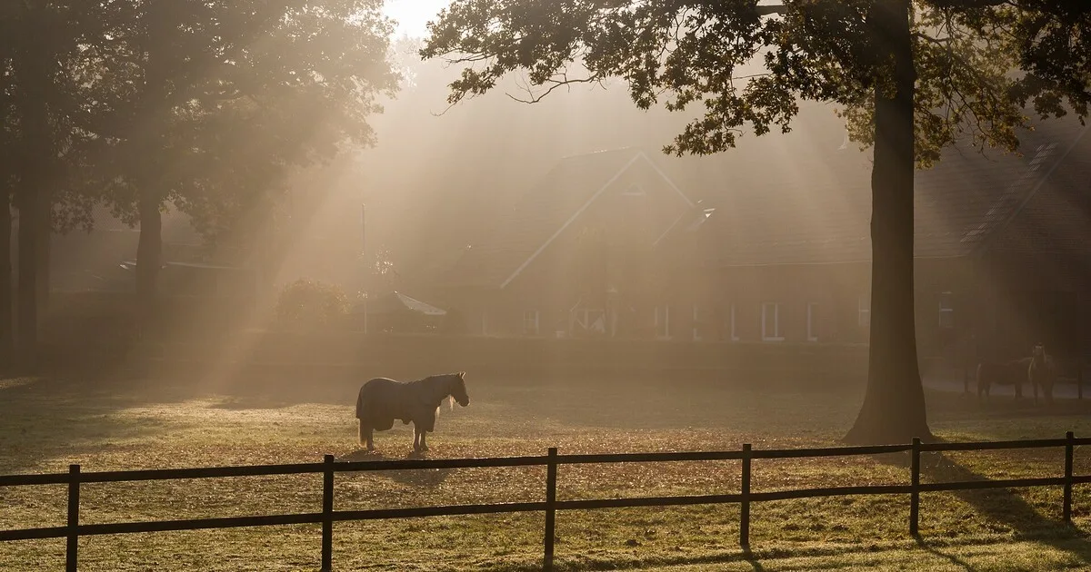 North Rhine-Westphalia: Germany's Most Underrated Region